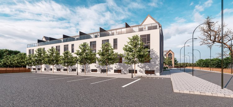 back+CDM+edit+websize