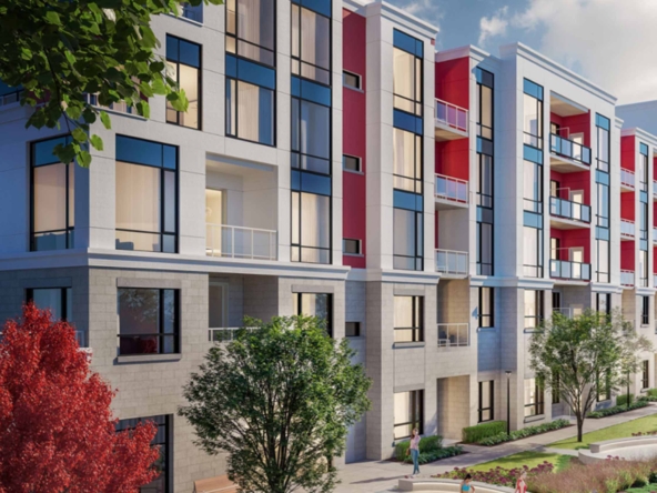 views on the paradise